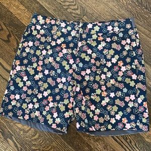 Descendant of Thieves by Dres Ladro, swim shorts size 31 but fits like 30